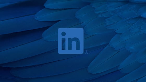 How to Build a LinkedIn Audience for Inbound Marketing