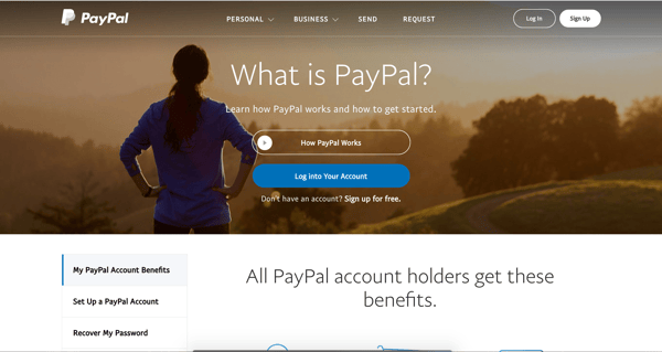 Paypal_branding and website design