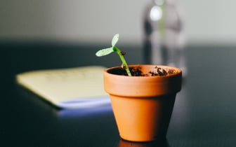 The Most Common Problems of Building a Growth Strategy