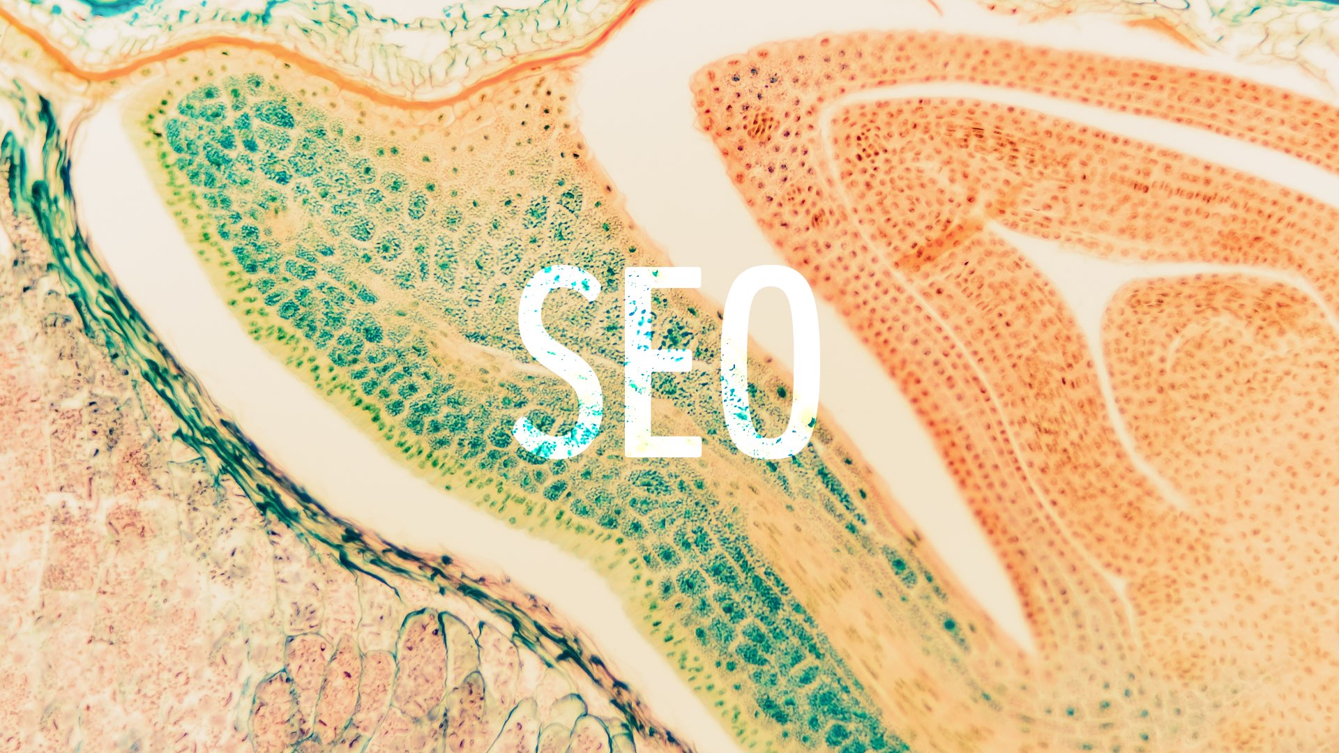 An Easy Guide to the Science of SEO Friendly URLS
